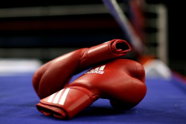 Undefeated Boxers: Conquering the Ring with Plant-Powered Victories ...