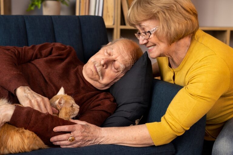senior companion care