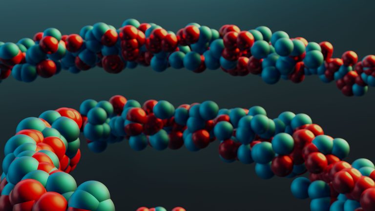 Colorful molecular model illustrating peptide structures and bioavailability science